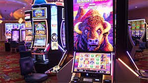 22niceph VIP member enjoying exclusive casino-style game access on mobile